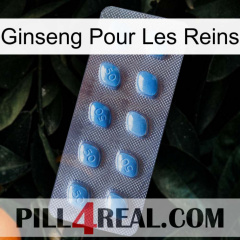 Ginseng For Kidney viagra3